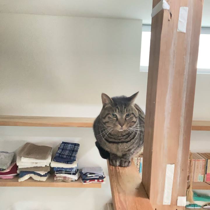 F8297a20 f734 4893 a447 e4d51ae843eb 1704673927626