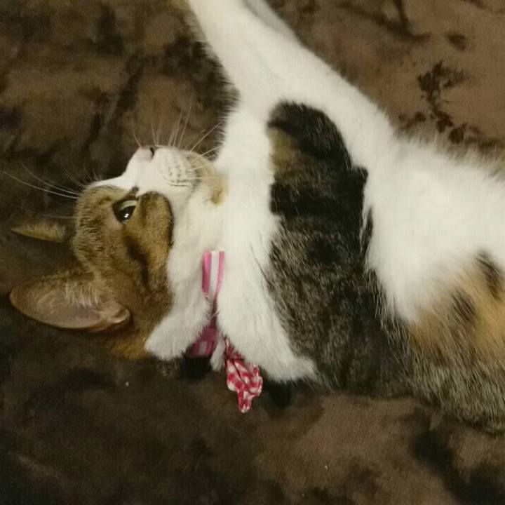 F829a5d7 5e6c 471b a9f5 798aba9362b2 1531612906408