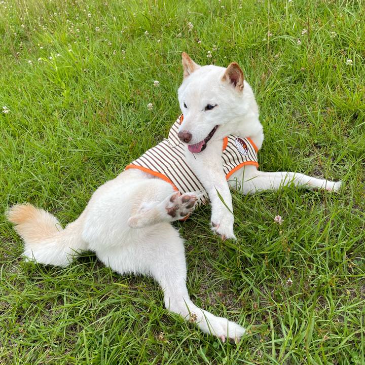 F829b8f9 7ffa 427c b8f5 5fffc654d45f 1654688766476