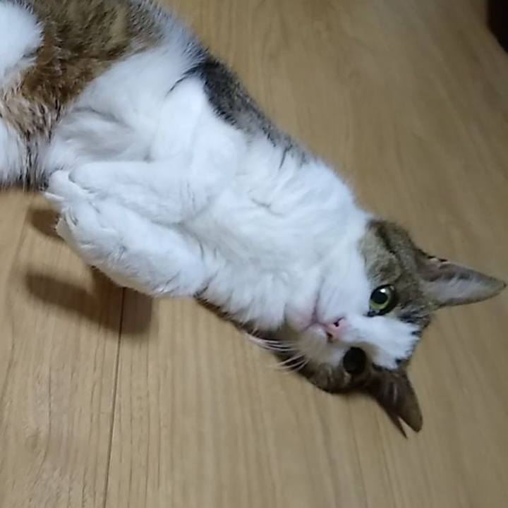 F829c7ca 2435 4a16 93f3 16b8d582805c 1559906865108