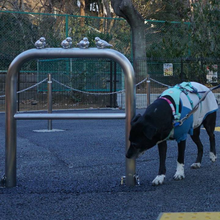 F829e0a4 1621 4f75 872d 739f8d28bb64 1770164044140