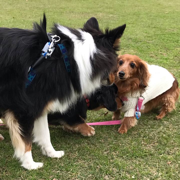 F829e3c3 7ad0 4243 ac27 8f52d6cb5280 1543057834364