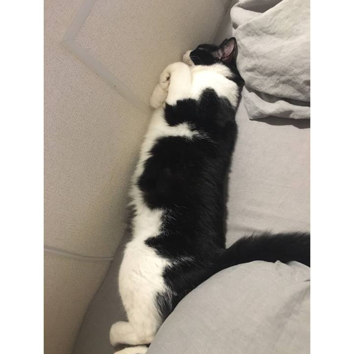 F829ecbc 98e7 4e40 b341 909126f219e3 1590980950799