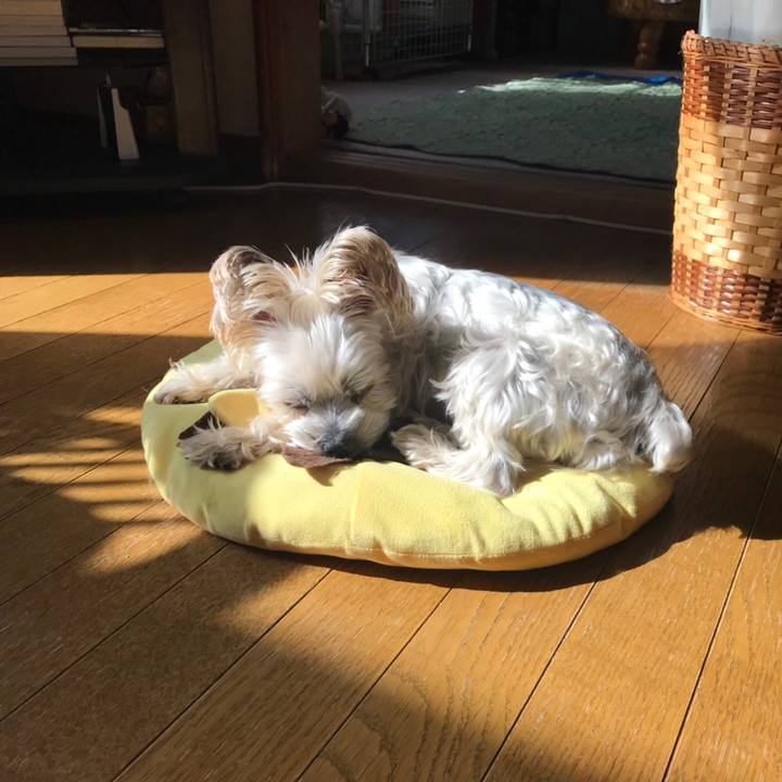 F82a03be 4fbc 41bf a516 ba500a4852da 1571822163211