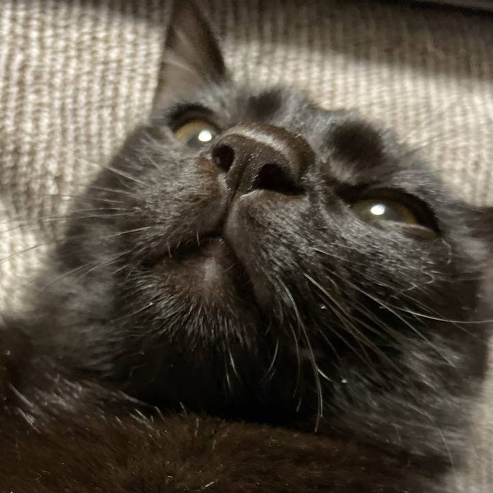 F82a45cf ca91 49f2 ba24 9a552bdb64d1 1616759840167