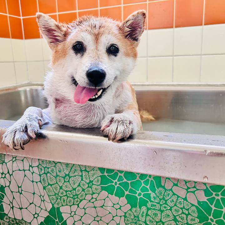 F82a7de1 aeee 4fc6 88a9 68f5ffe28533 1758853232073