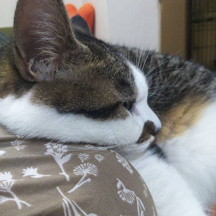 F82ae413 1b88 45f5 ab74 81b3def9e51c 1661245904396