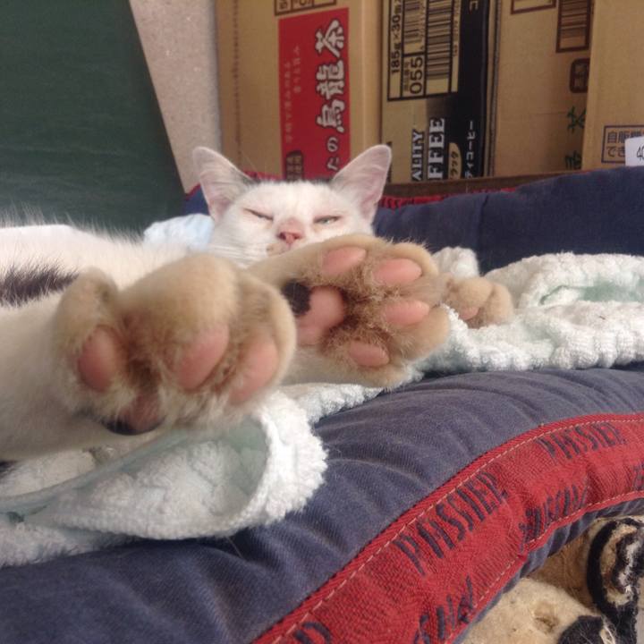 F82ae44f 3801 4495 8c08 c6ba84759843 1530415849588