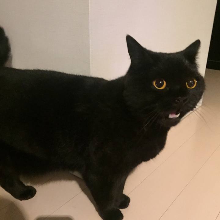 F82aec91 f1fa 4bdb 97fe 3e4cf7fdc1fc 1590491969086