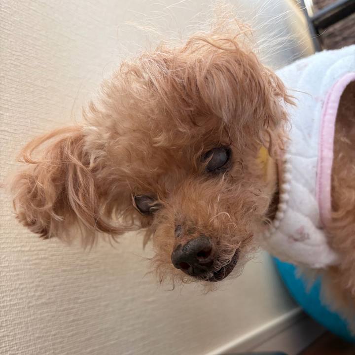 F82b3e85 9678 48cc 8cba 5883c9b83dd2 1770002339822