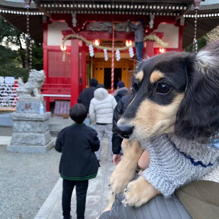 F82b48ea 9ce0 432a a526 795fd003d720 1672745661912