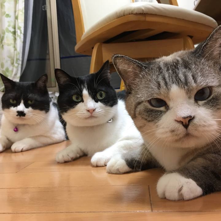 F82b8751 ef07 4a55 ac8d 8a01fbcc48ea 1567599947534