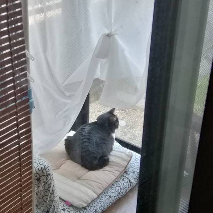 F82baac3 4071 4fe8 8efe cabfb1bdc15b 1555833886296