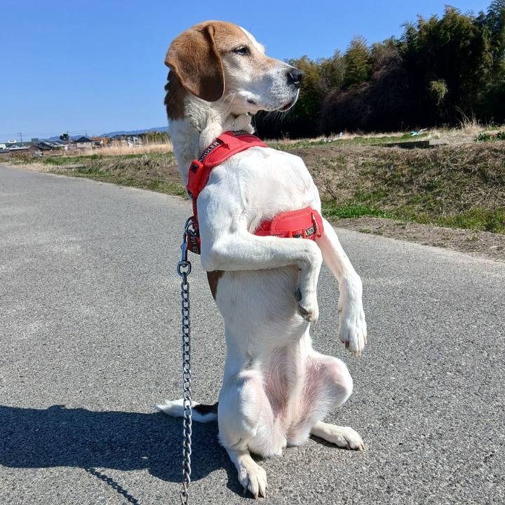 F82bb5b5 7265 4c04 9e1d 0a022f5e8c76 1773282526142