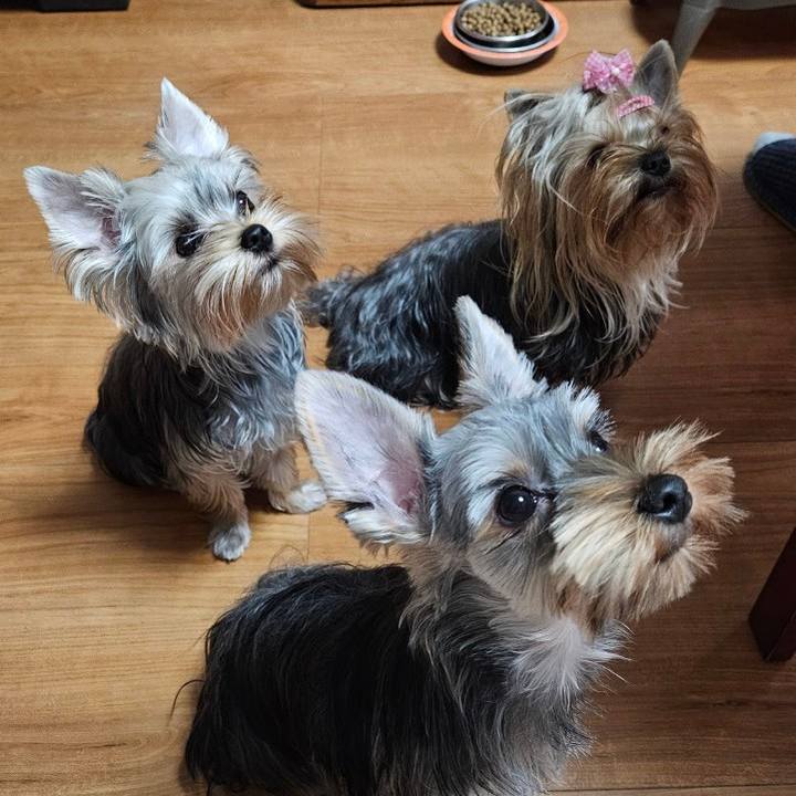 F82bd34c 212f 44af b4e1 ff61d6dc7d86 1772717971536