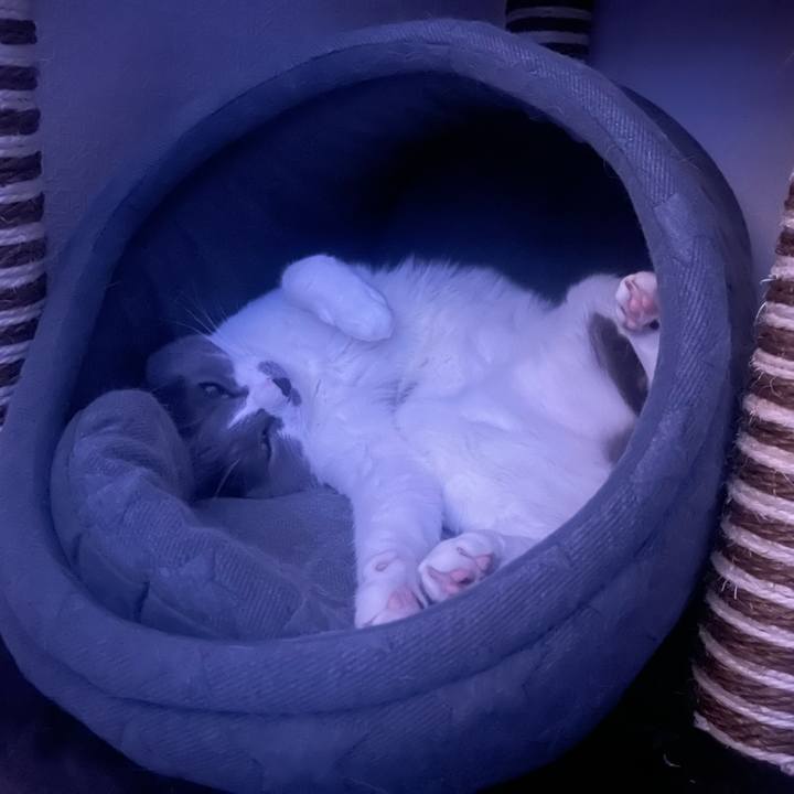 F82bd5c0 4792 4519 8165 aa2fde1eb8f3 1667829279770