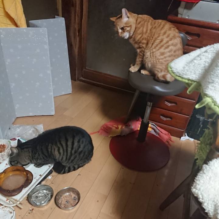 F82c610c 18ae 4ad8 a24d 621fca378ffa 1639255949837