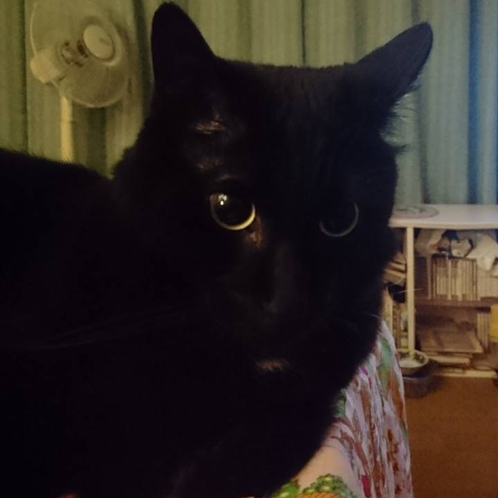 F82c92f9 4119 4d3e aa9c a9ce6fc155a4 1623593719987