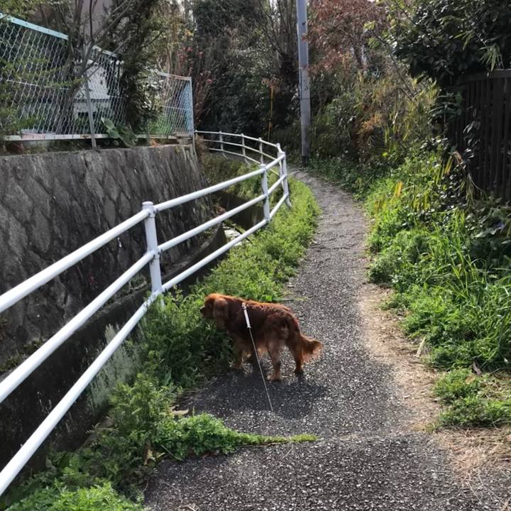 F82c9abb 1b45 422f 80b7 06512ac43f2e 1584837462146