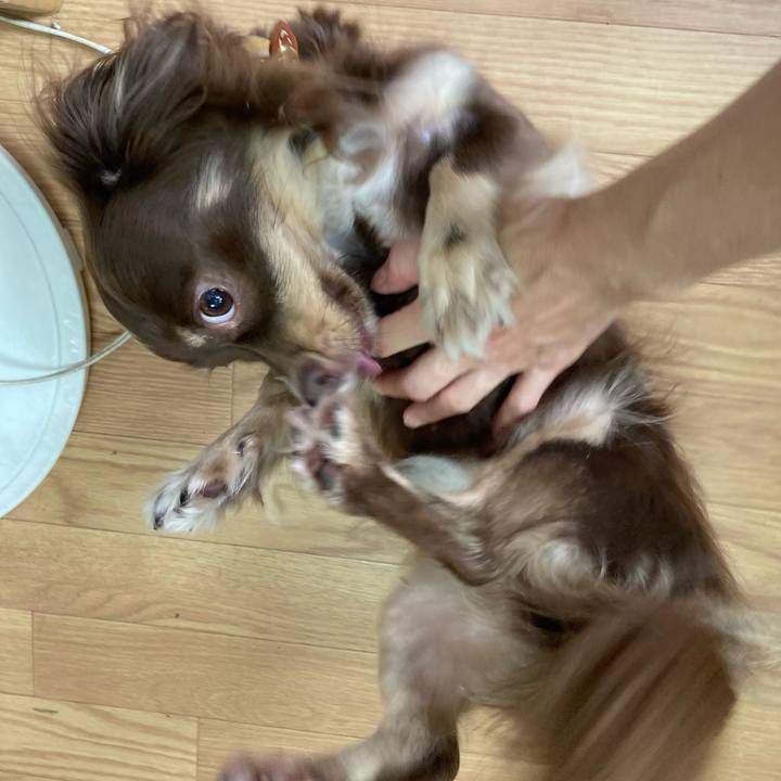 F82ce81e 13ea 4594 99e2 a6e35b81c1b6 1634598077425