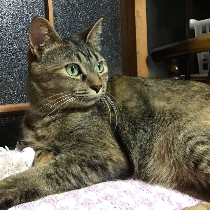 F82d001a 9979 455d b1f4 64ff6a19306e 1654169872315