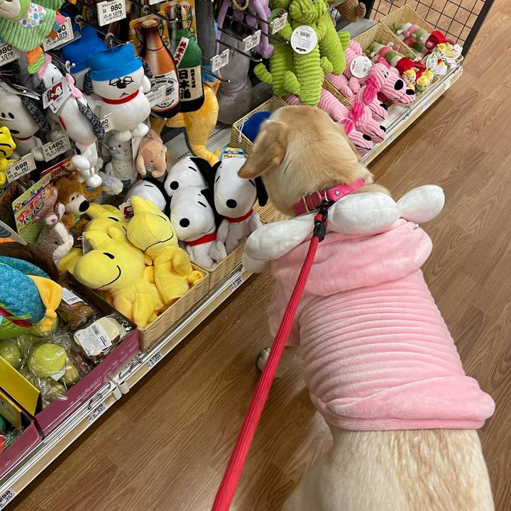 F82d0ac5 48f4 49f0 8845 ee82c0a37471 1634541083148