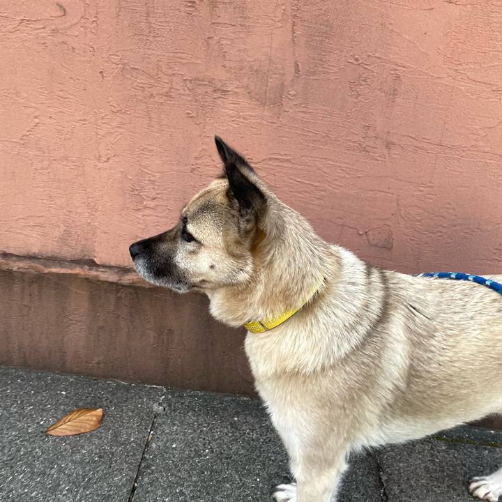 F82d1599 bee6 4704 a56e 3975baf82f2e 1637841684535