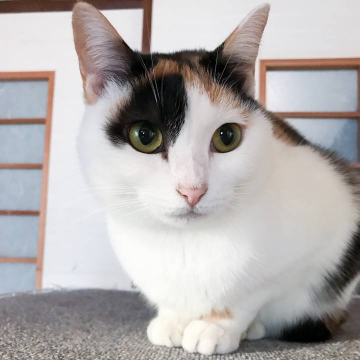 F82d1aa5 3544 4597 ad93 52f570689a76 1515249494916