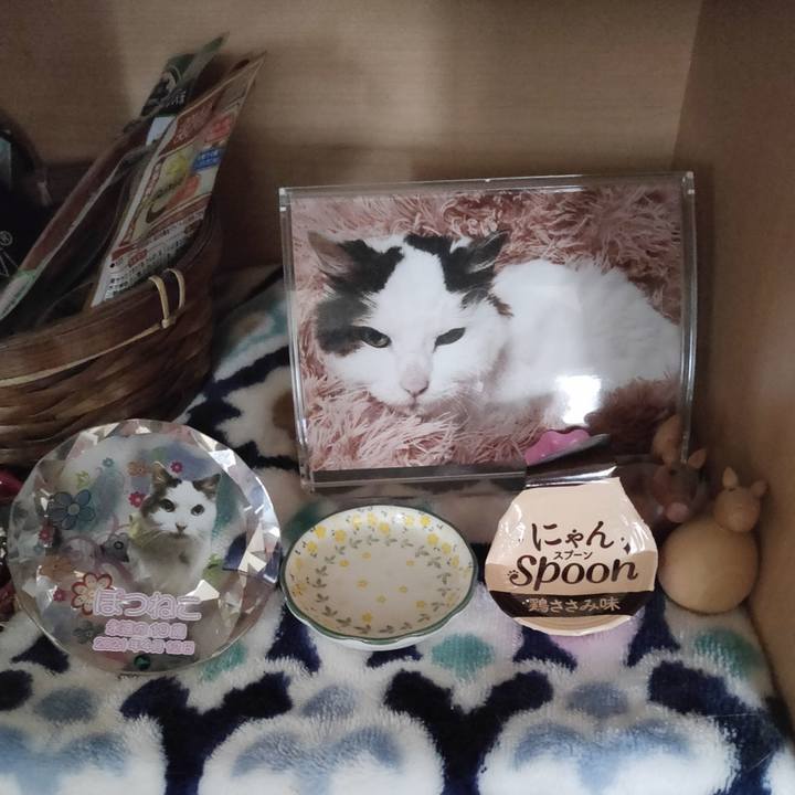 F82d2cb3 3fa9 4c1b a785 69e7fff2ea73 1681276850921