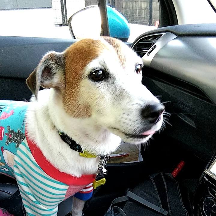 F82d2e08 195a 45ef aaca 8247fce16dd0 1532168169011