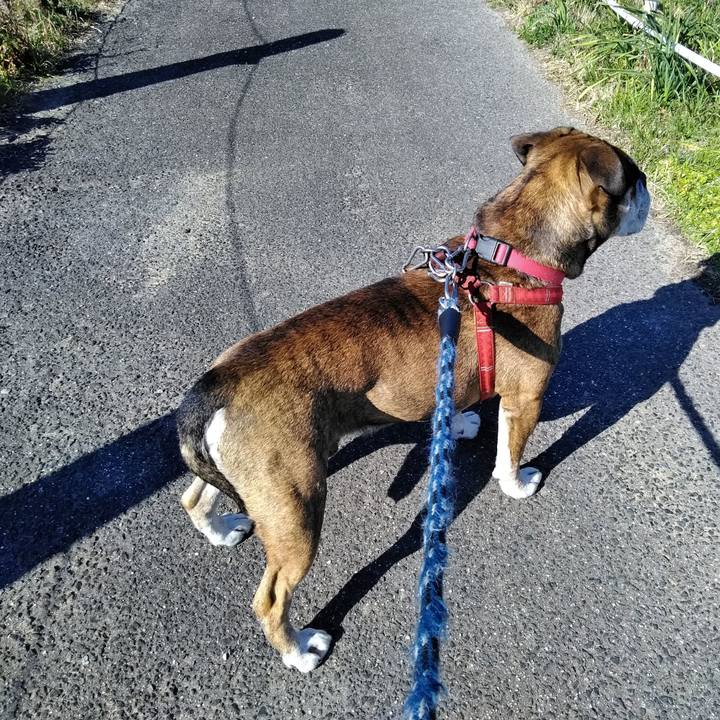 F82d3bf6 19ba 46b9 a599 a5c7de77a834 1552132380337