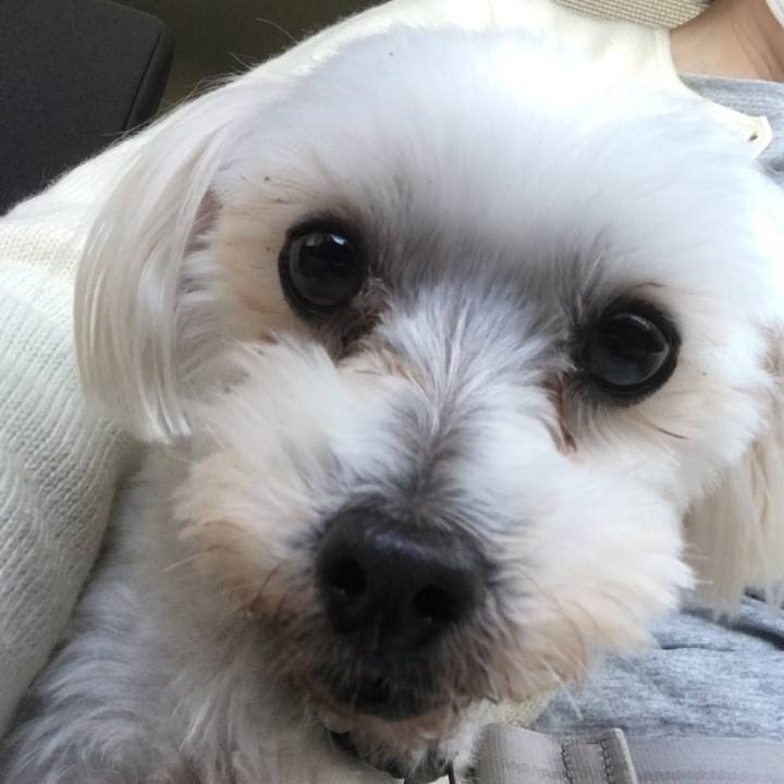 F82d507c 2ac5 4ecd 8749 25de55755508 1635051401390