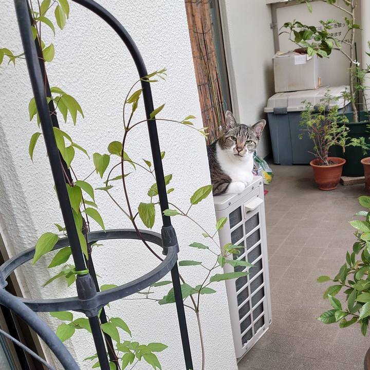 F82d58a5 38cd 4307 9a08 1d456449ee30 1713392111717