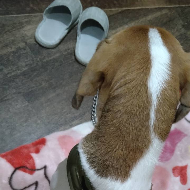 F82d6c92 c645 446e ae00 083821ba28af 1667657106059