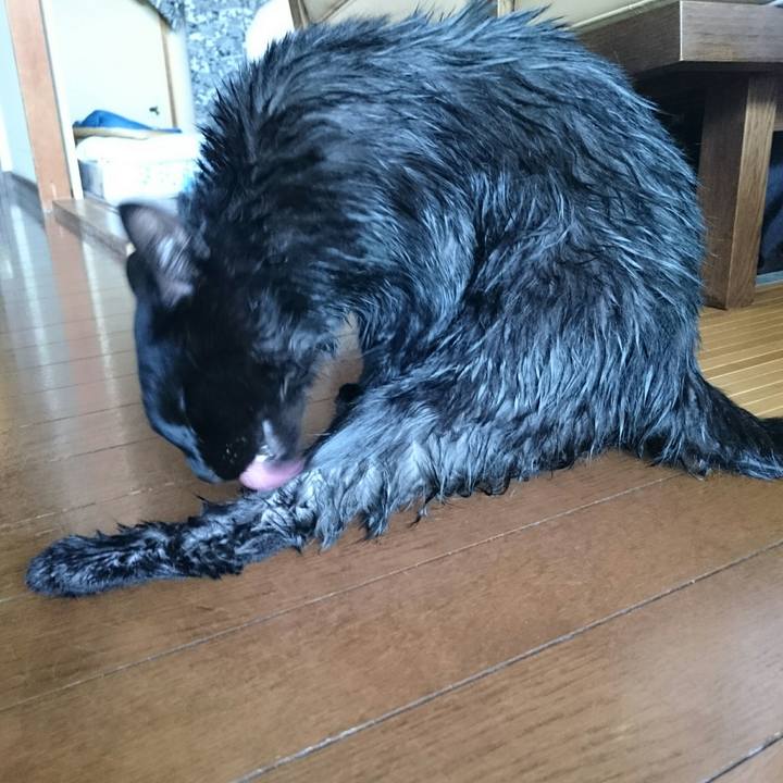 F82d9e16 c231 45b4 885a 6e02e69812ac 1532228382956