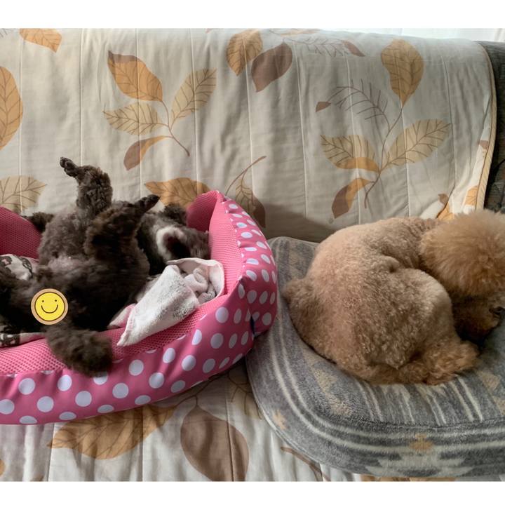 F82de48b 6c96 4de8 8b09 59d0eb4d22f6 1590442722784