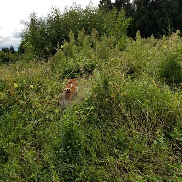 F82dfb5f 2681 486b a786 51654850727d 1569288100438