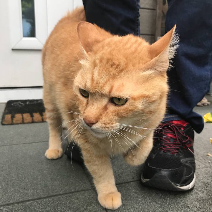 F82e06d8 1a2a 4e98 acc6 bba6e788a1fd 1526722588016