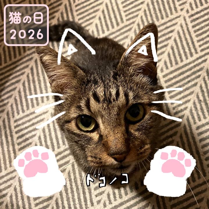 F82e3ef2 6d91 4ffd bc5f da99fbb96854 1771703125337