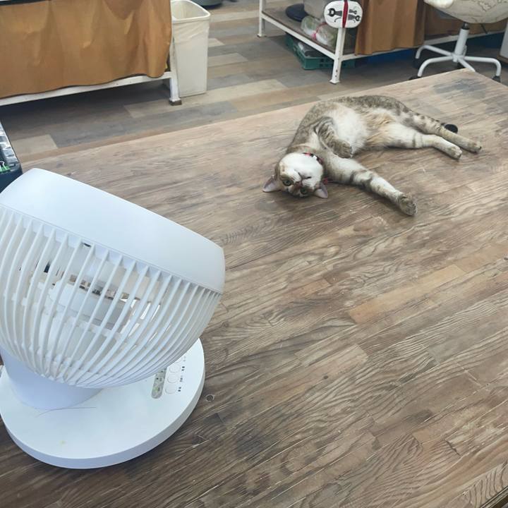 F82e637a 4184 4544 b807 dc3ba063ae28 1751608750135