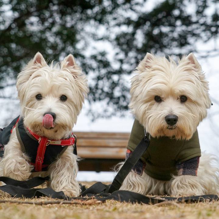 F82e6fe3 3f9a 475f 9326 cfece5d94bec 1515153052781