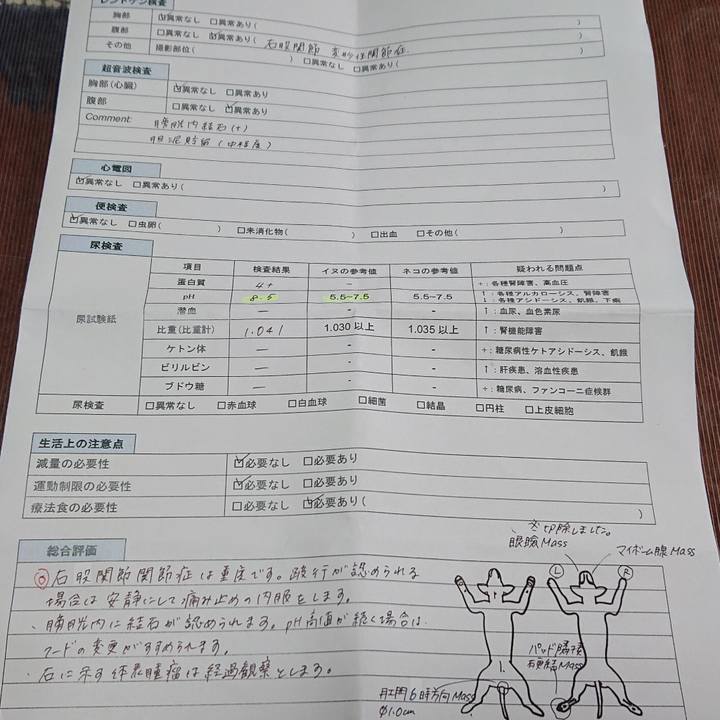 F82e84cc d3b3 4688 81f1 10f1b56f3794 1583818973034