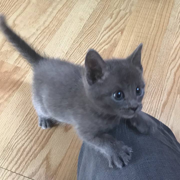 F82eb23c 615d 4b5b 8266 7be93908b85f 1574385075767