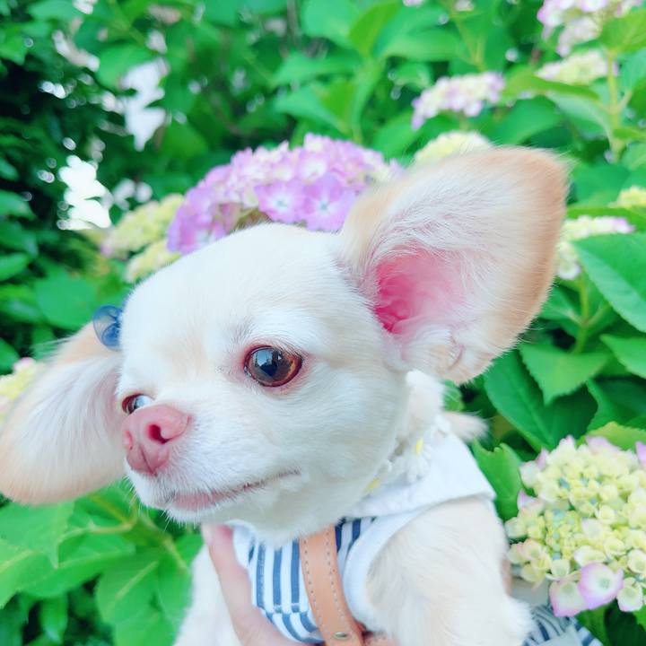 F82ec363 5c12 4232 8c5c 45f98e7f6c35 1685085818437