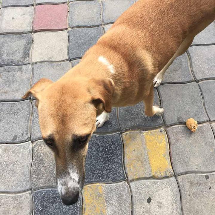 F82ed7dd 25c2 46f9 9b17 94a57c7b6adb 1531262768756