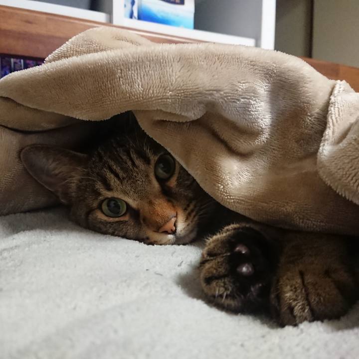 F82eef26 081a 4d42 a2f5 feca1f08a7b8 1607356814821