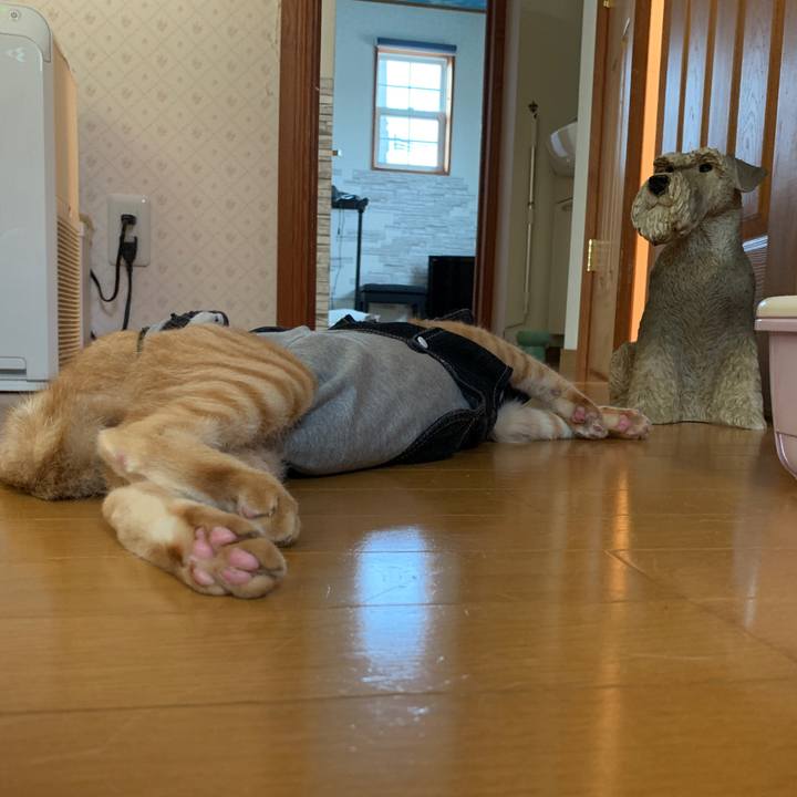 F82f0290 e64e 439d adbc 66b3d85c2157 1657754287234