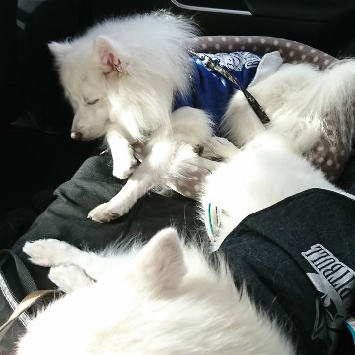 F82f05ff a659 45a4 a9ae 33dfa33a8318 1579932760141