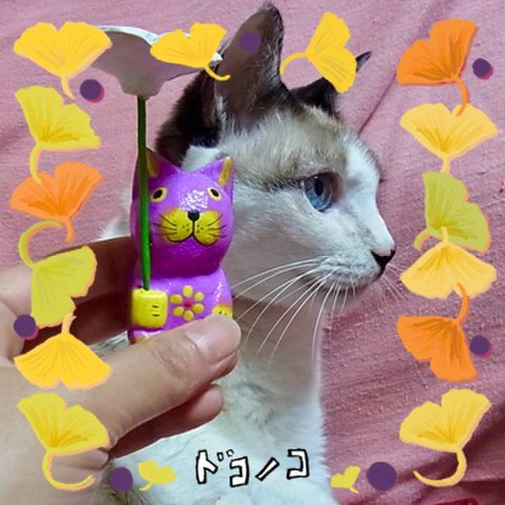 F82f3781 5fb4 4dcf 8965 2f81571eee9c 1730423796531