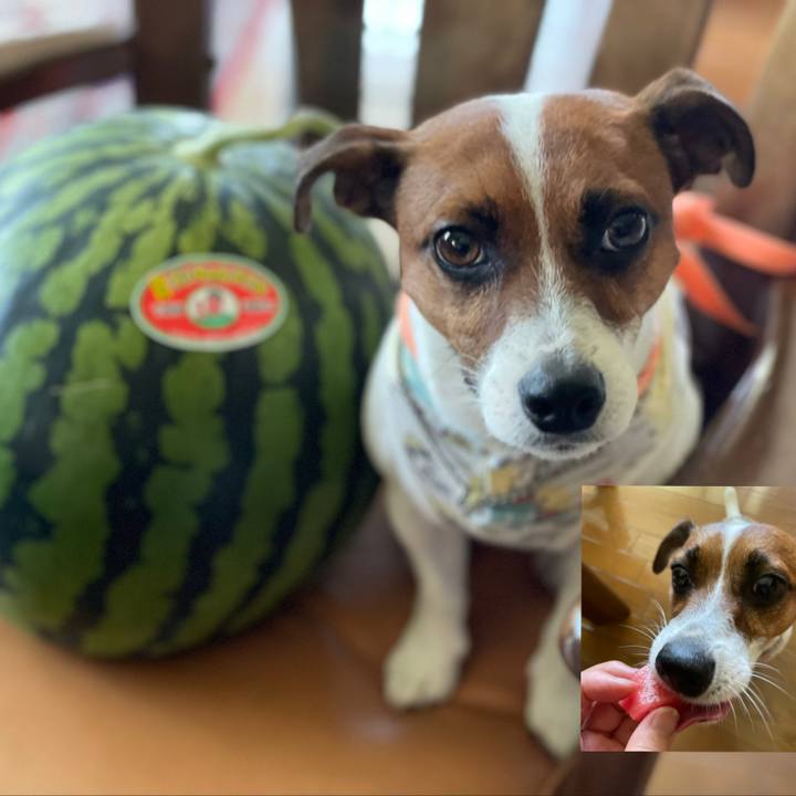 F82f4ffc 5dd0 46f8 9727 103ac7267acb 1628231850840